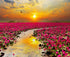 Sunset & Flower Fields